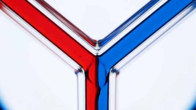 Microscopic Laminar Flow of Red and Blue Fluids in Y-Junction Channel