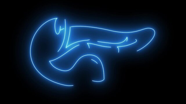 Human Pancreas and Duodenum Anatomy Neon Blue Line Animation
