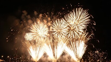 Fireworks display illuminated against a night sky explosions of light and color