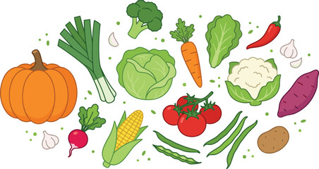 Vector illustration set of organic farm vegetables collection with pumpkin tomato and greens for healthy cooking design isolated on white (20 words)