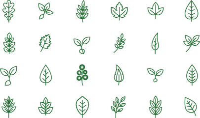 Collection of various green leaf line art icons representing nature and growth.