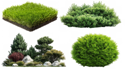 Set, Find beautiful plants to enhance your garden, created AI, PNG