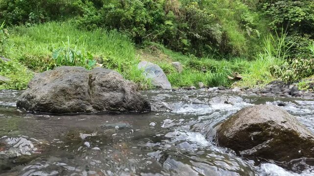 stream in the forest, Java, Indonesia, South East Asia