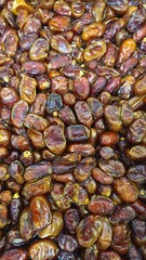 Obraz premium close up of fresh dates Khalas