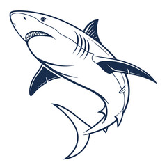 shark vector illustration