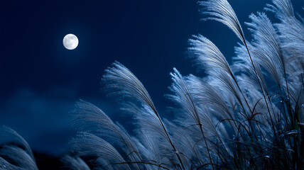 満月と薄雲とすすきが映る秋の夜空の景色