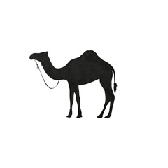 A majestic camel standing in a serene desert landscape from a side viewpoint