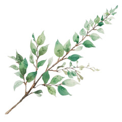 A serene branch with green leaves and delicate flowers on a white background