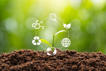 A young green sprout with small leaves grows from rich soil, representing a new life concept and the ecology of nature's growth isolated against a white background