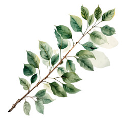 A serene branch with lush green leaves on a white background