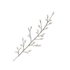 A delicate illustration of a twig with buds on a white background