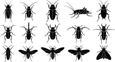 Set of vector insect silhouettes including beetle, cockroach, cricket, and bee, isolated black animals on white background for pest control design. © MDMOSTAKIM