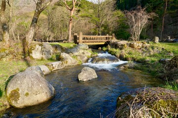 Fototapeta premium Mountain stream with clear water flowing over large mossy boulders, featuring a small wooden footbridge in a lush forest park during a bright, sunny day.