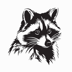Obraz premium Majestic Raccoon Vector Illustrations Isolated on White Background