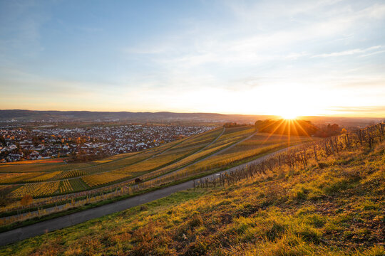 Die Weinberge im Remstal bei Korb im Rems-Murr-Kreis zeigen sich im Herbst in ihrer ganzen Farbenpracht. Beim Sonnenuntergang werden die Weinberge von warmem, tief stehenden Sonnenlicht angestrahlt.