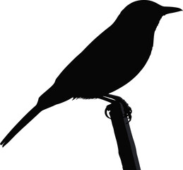 Black Bird Silhouette on Stand.