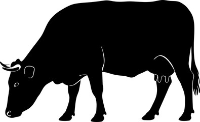Black Silhouette of a Cow.