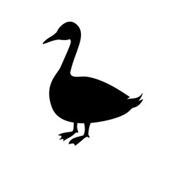 Duck Silhouette 