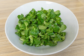 Eine stilvolle weiße Schüssel enthält eine frische Portion Feldsalat mit leuchtend grünen Blättern. Der helle Holztisch im Hintergrund schafft eine einladende Atmosphäre. 