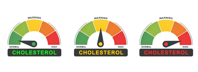 Cholesterol Level Meter: High and Low Fat Test Indicator Illustration isolated on white background