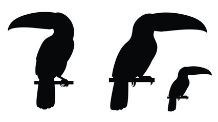 Fototapeta premium Silhouettes of three toucans perched on branches a simple black and white design