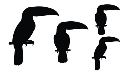 Fototapeta premium Silhouettes of toucans a study in tropical bird shapes and forms