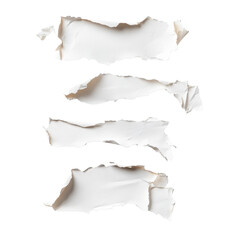 Cool tone torn paper set with shadows
