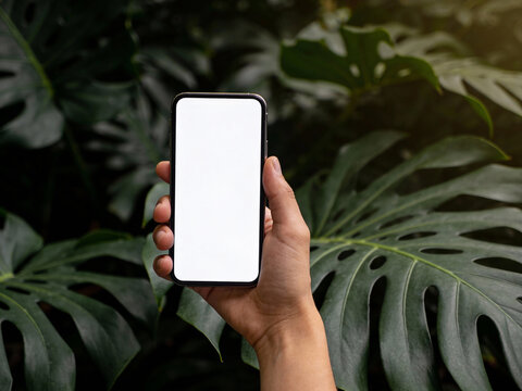 Minimalist Smartphone Screen Mockup with Green Jungle Leaves