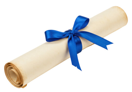 Scroll of parchment with blue ribbon PNG isolated on transparent background, diploma certificate document for graduation or award