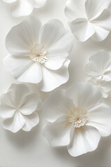 Layered White Paper Flowers On Light Background