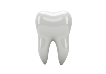 Realistic molar tooth isolated PNG on transparent background, dental care and oral hygiene concept for medical and educational use