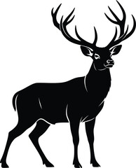 Silhouette of a majestic stag with large antlers standing on a white background deer male deer