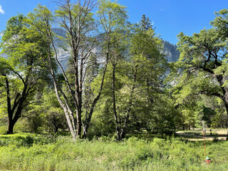 Obraz premium Sunlit Meadow Beneath Granite Walls