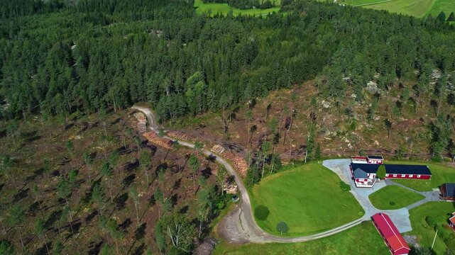 Patch of Freshly Logged Woodland Borders Open Meadows and Red Farm Structures Connected by a Curved Gravel Road - Aerial Drone Shot