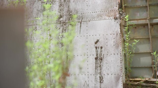 Iconic Cape York tourist attraction; historic wartime plane wreck. Clip 2