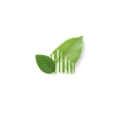 Eco Friendly Green Leaves with Barcode for Sustainable Products and Environmental Conservation