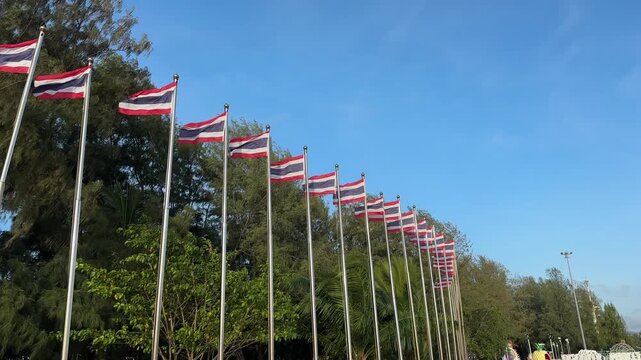 Many Thai thailand flags blowing in the wind in phuket south east asia flag