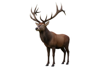 Majestic red deer with large antlers isolated PNG, standing tall on transparent background Wildlife animal for nature and outdoor design projects