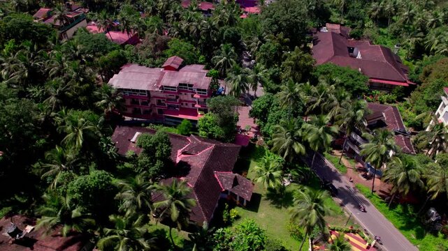 Coconut trees with narrow road and red rooftop houses at colva, goa, india. day time, bird eye view, drone shot, 4k.