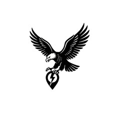 Obraz premium eagle in flight