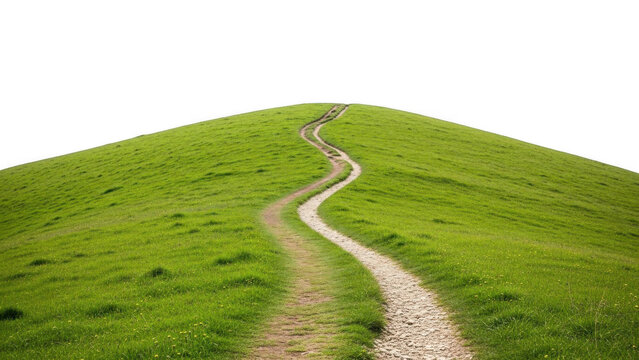 Grassy hill with path isolated on transparent background