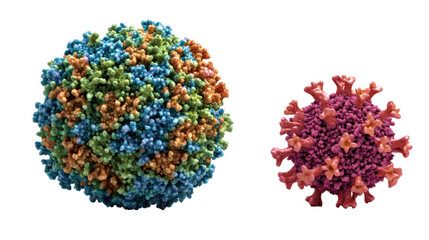 A 3D model of purple cancer cells with a detailed and textured surface.