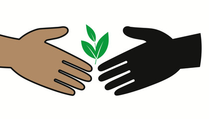 Diverse hands reaching for a green plant, symbolizing environmental protection and unity.