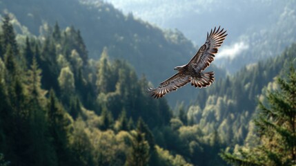 Fototapeta premium An eagle is soaring in the sky, with green mountains and forests as the background. It is a close-up shot, bathed in bright sunlight 