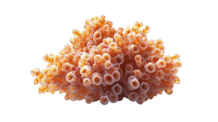 A 3D rendering of a virus showing prominent spikes on its surface.