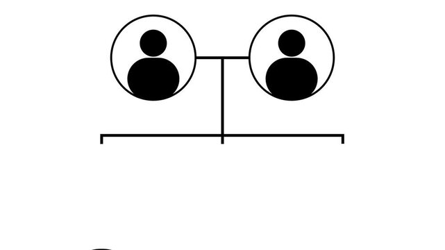 family tree chart of life relationship scheme illustration