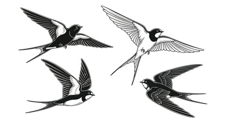 Elegant swallows in flight a vintage style illustration of avian grace