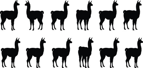 Obraz premium Seamless Repeating Pattern of Black Silhouette Llamas or Alpacas in Standing Profile Pose, Simple Flat Vector Illustration for Fabric Print or Decorative Element Design, Isolated on White Background,