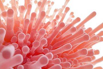 A close-up view of cancer cells with irregular shapes and a visible surface texture.