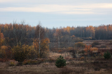 A Scenic View Of A Rural Landscape In Late Fall. The Image Features Dried Meadow Grass And A Colorful Forest Line Under A Cloudy Sky.